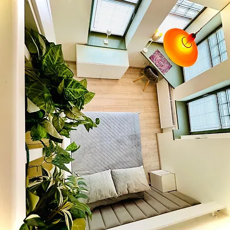 Evergreen House Σόποτ